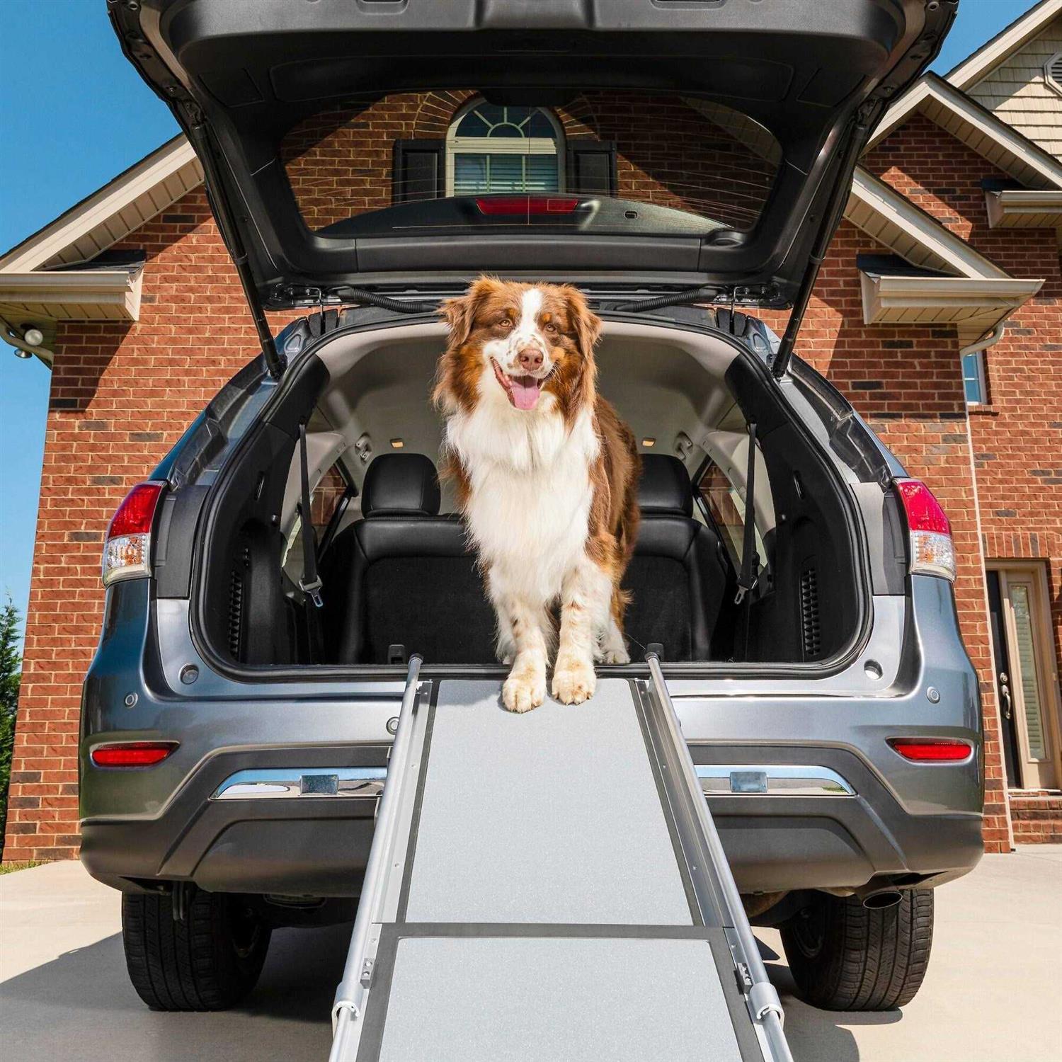 PetSafe Happy Ride Telescoping Dog Ramp - Healthber