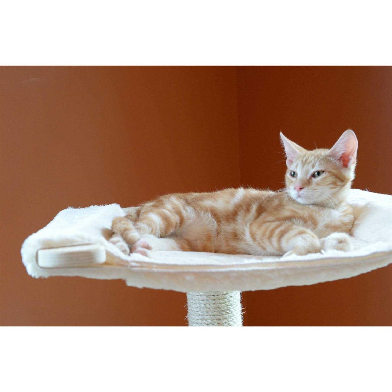 Armarkat Real Wood Premium Scots Pine 54-Inch Cat Tree with Three Levels - Healthber