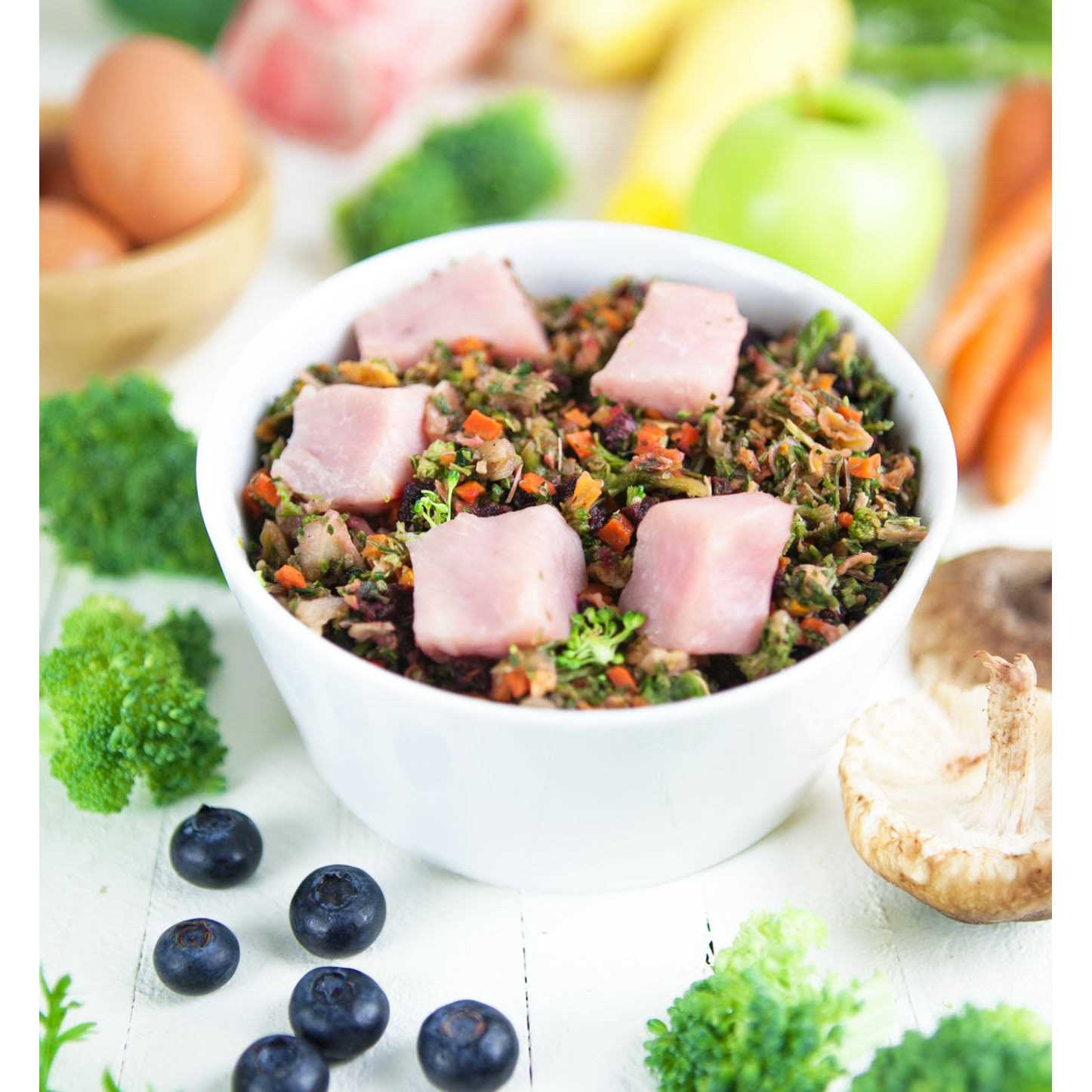 Dr. Harvey’s Raw Vibrance Dog Food - Healthber