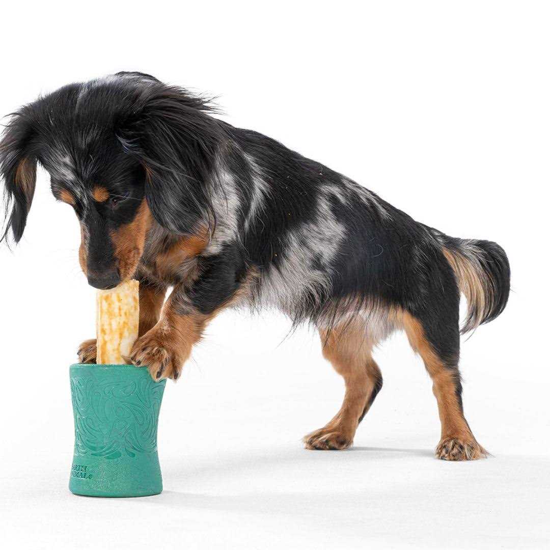 West Paw Funnl Dog Toy - Healthber