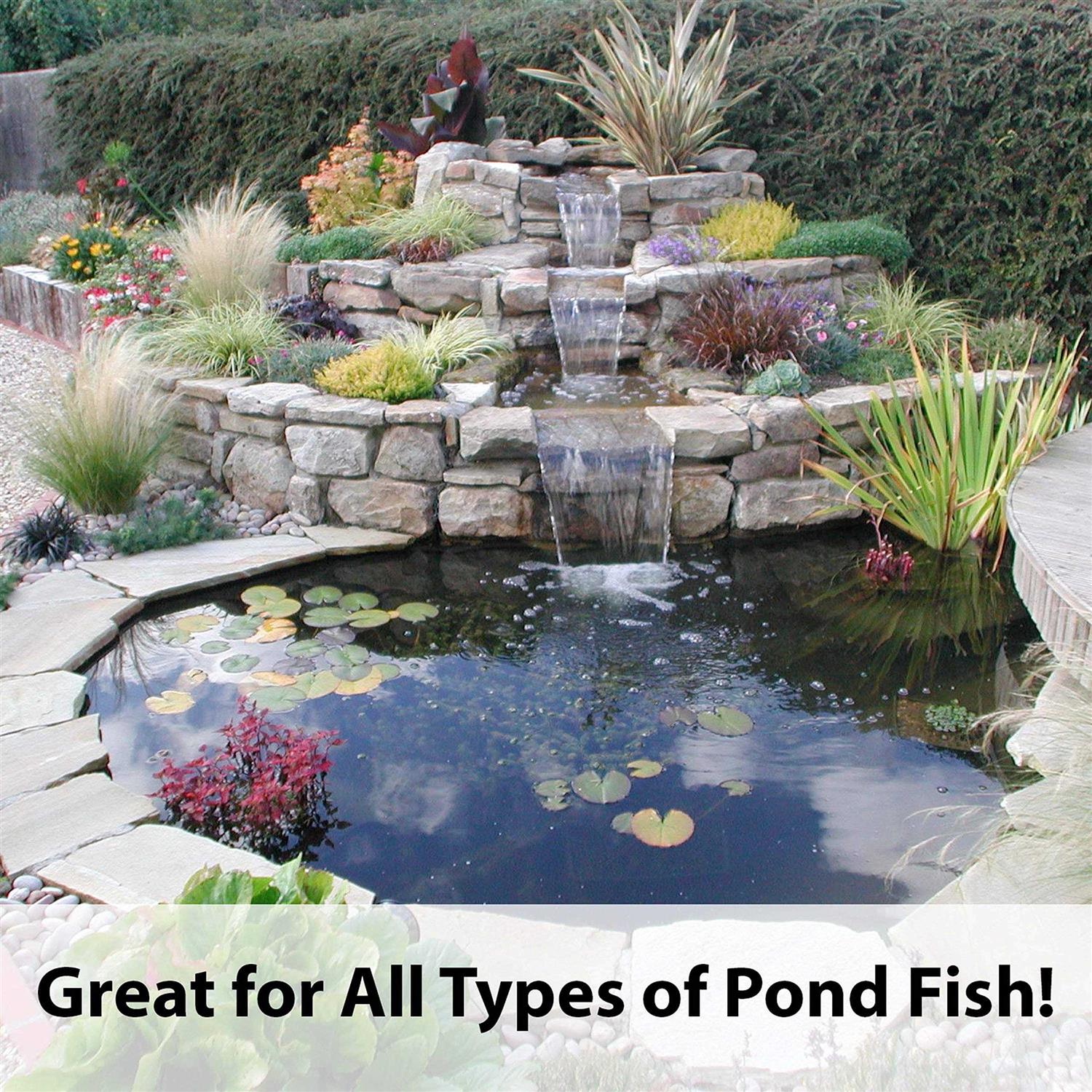 Kaytee Koi’s Choice Premium Fish Food - Healthber