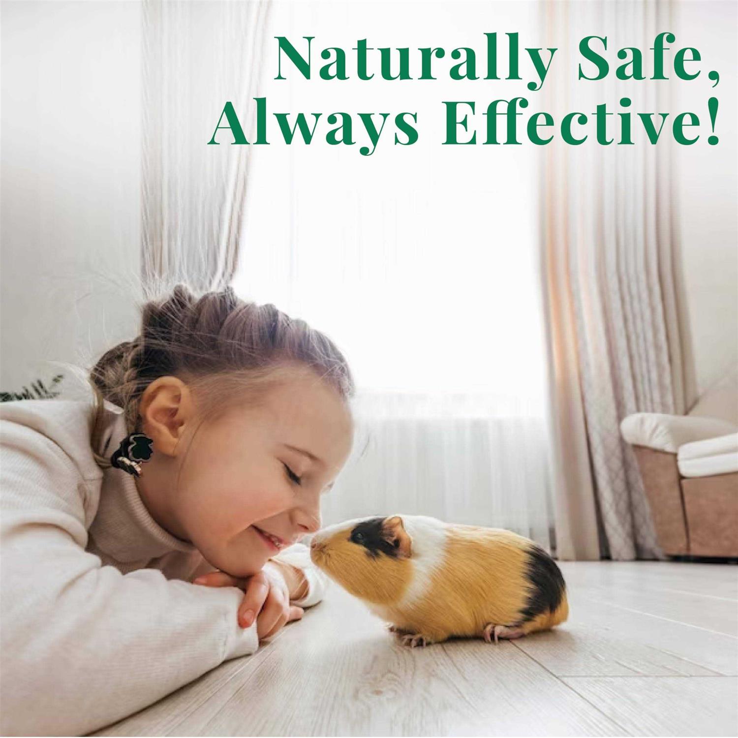 Citrus Magic Pet Foaming Pet Cleanser - Healthber