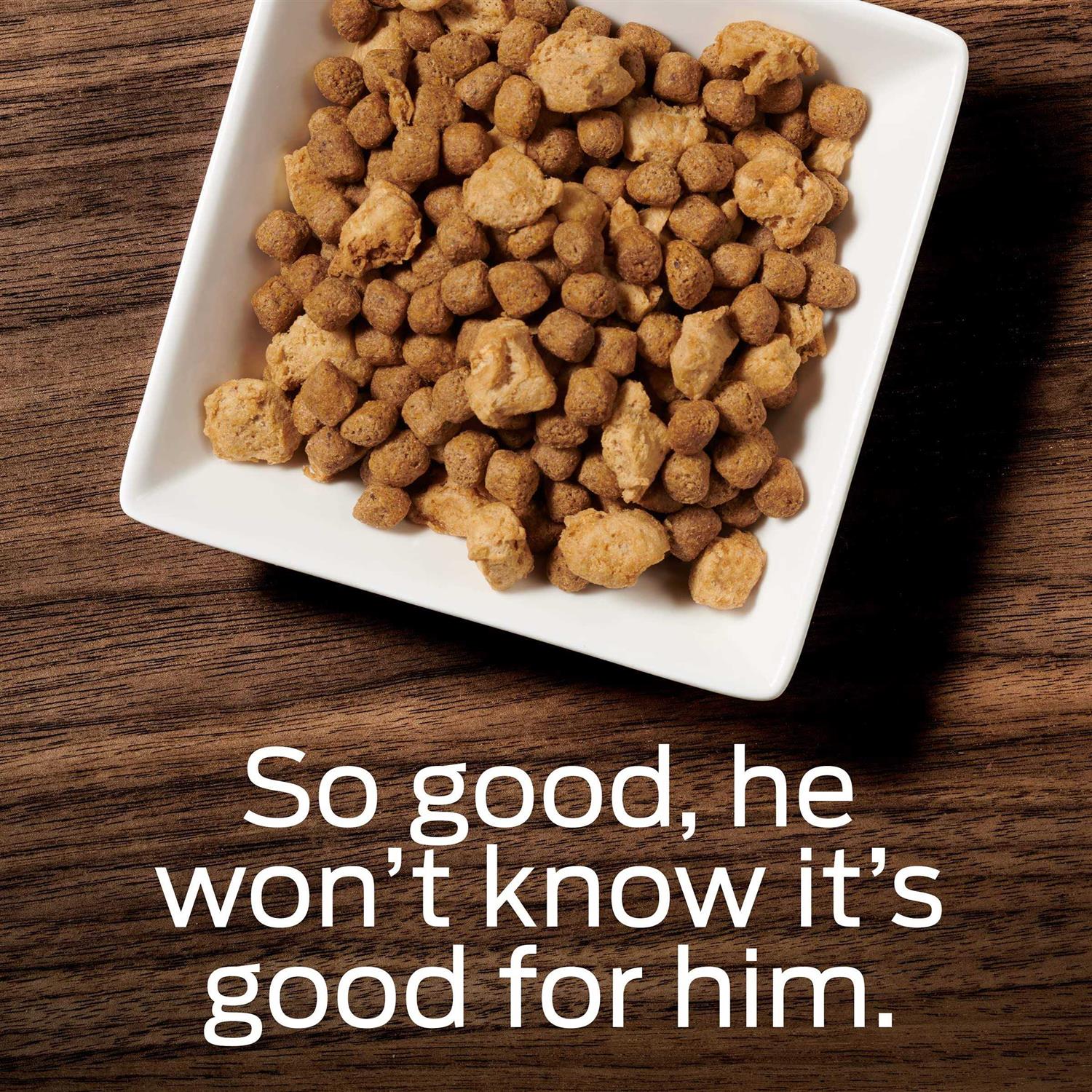 Purina Pro Plan Veterinary Diets OM Select Blend Overweight Management Dry Dog Food - Healthber