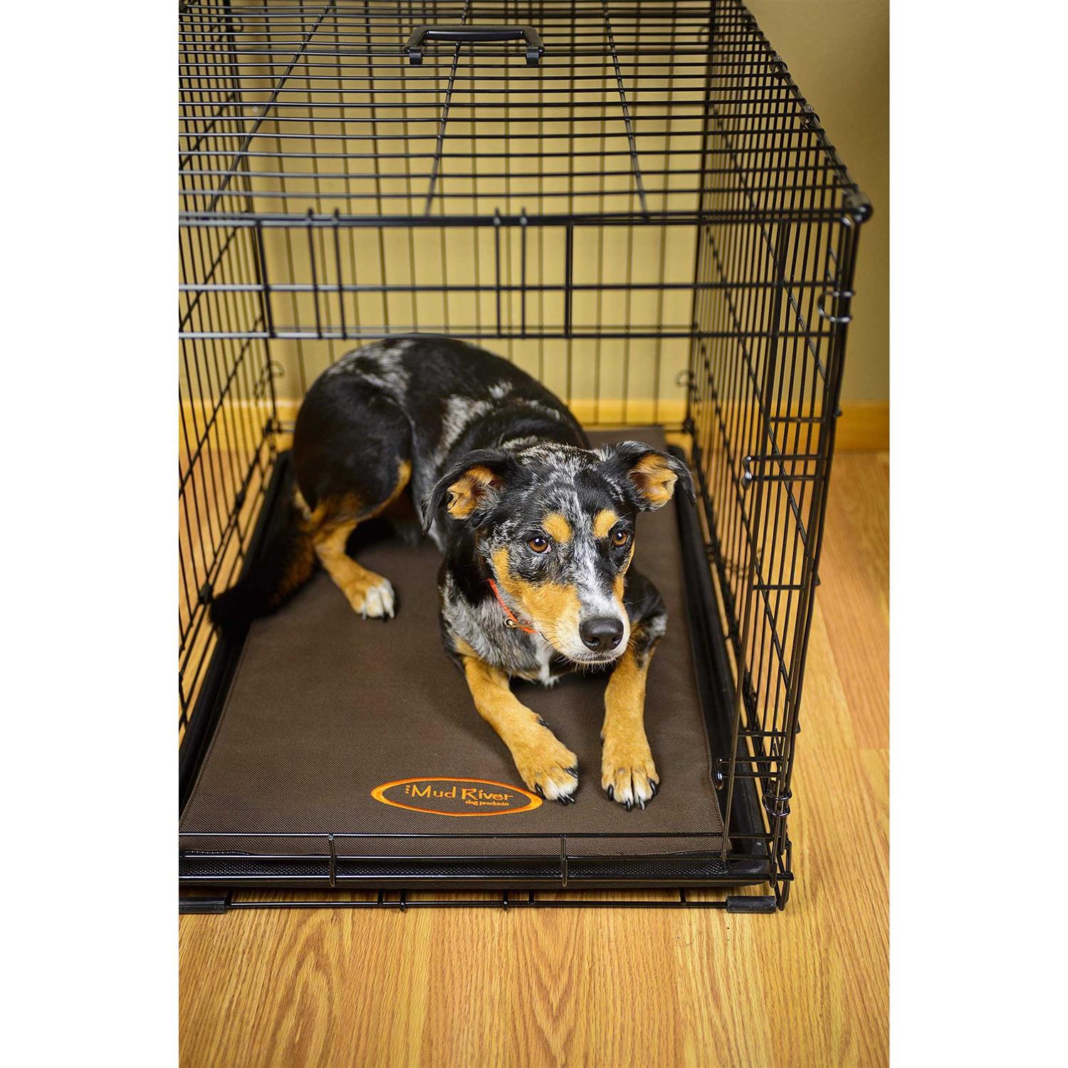 Mud River Crate Cushion - Healthber