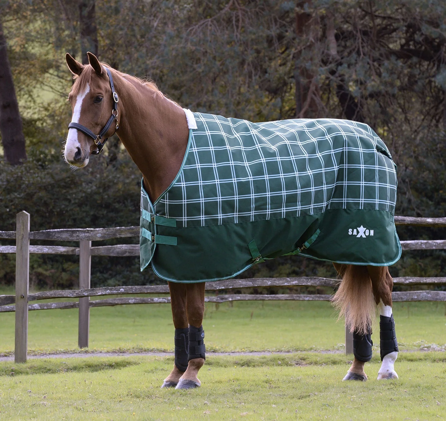 Saxon Defiant 1200D Standard Neck Horse Turnout, Medium, Hunter Green Plaid - Healthber