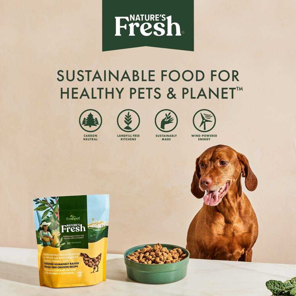 Freshpet Nature’s Fresh Adult Grain Free Turkey Recipe Dog Food - Healthber