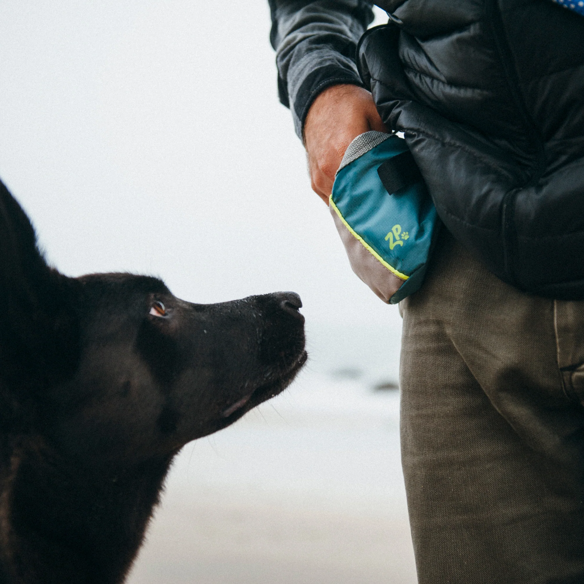 Zippy Paws Adventure Treat Bag - Healthber