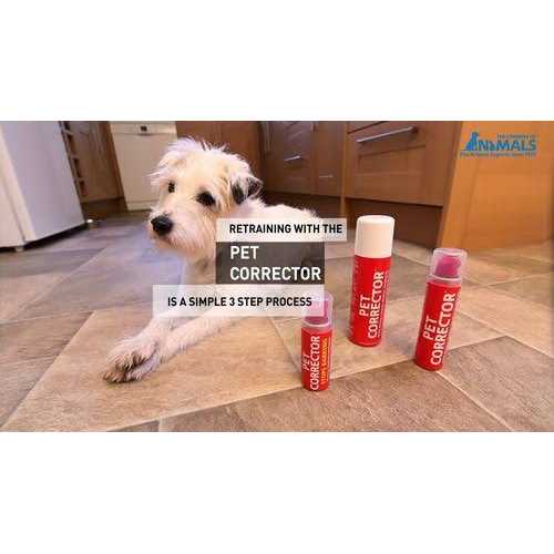 Pet Corrector 50 ml Spray - Healthber