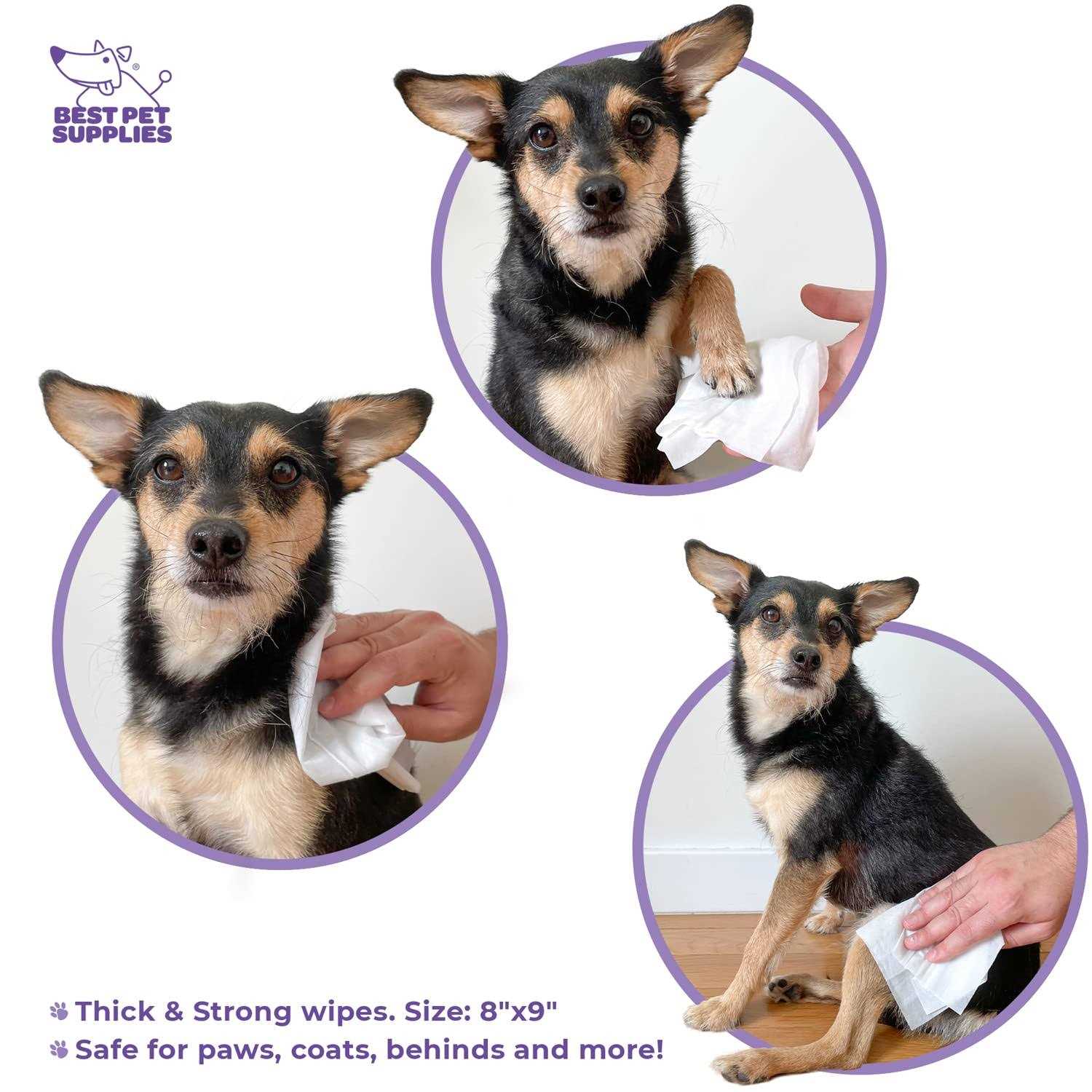 Best Pet Supplies Pet Grooming Wipes for Dogs & Cats Plant-Based Deodorizer for Coats & Dry, Itchy, or Sensitive Skin - Healthber