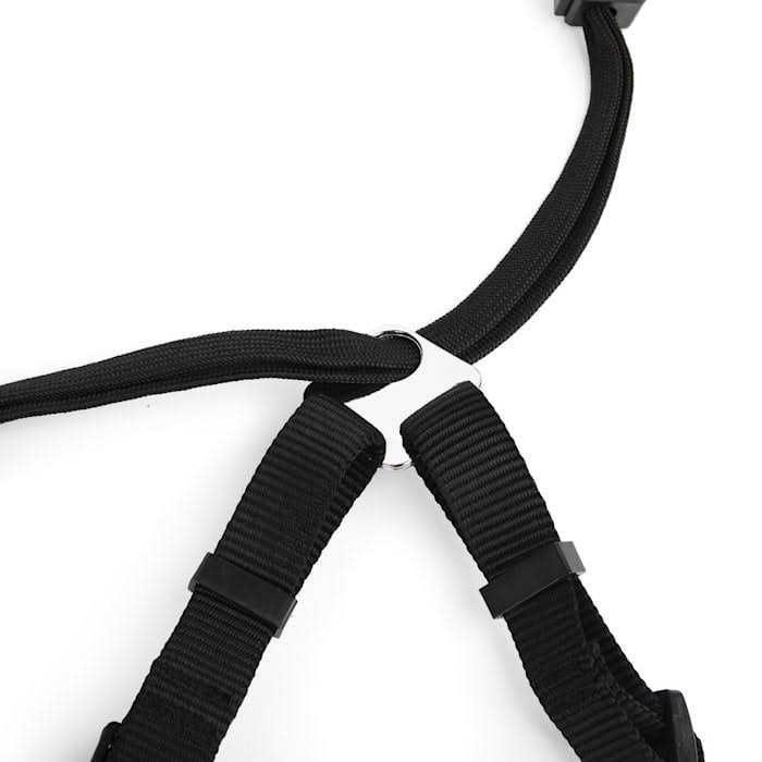 EveryYay Embrace The Pace Black No Pull Dog Harness - Healthber