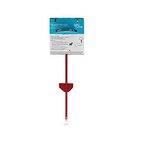 EveryYay Red Powder-Coated Steel Pet Leash Post | 3291763 - Healthber