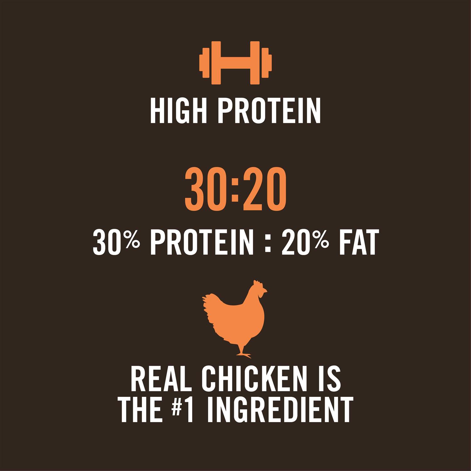 WholeHearted Active Performance High-Protein Chicken & Rice Recipe Dry Dog Food - Healthber