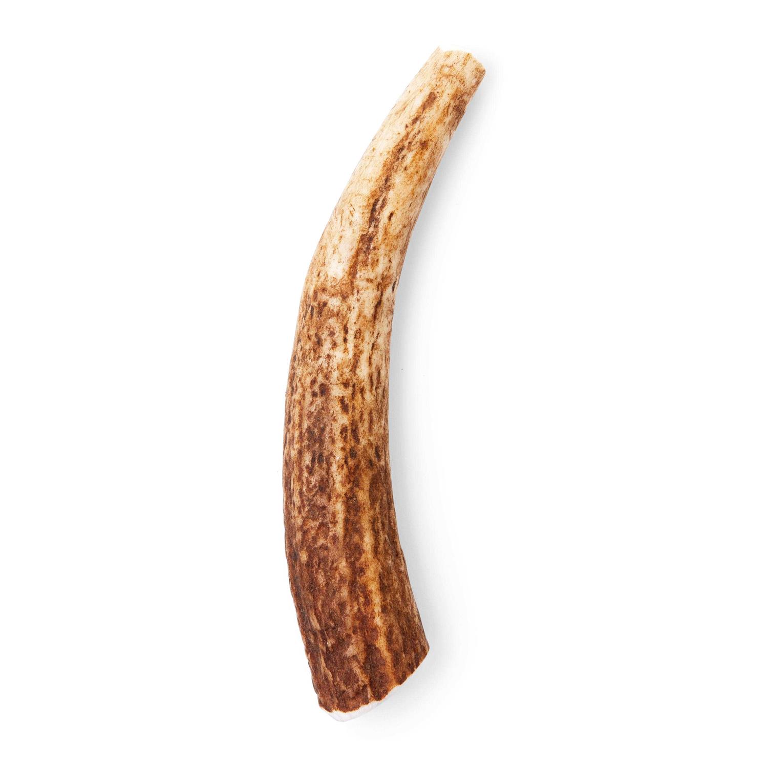 Good Lovin’ Naturally Shed Large Whole Elk Antler Dog Chew - Healthber