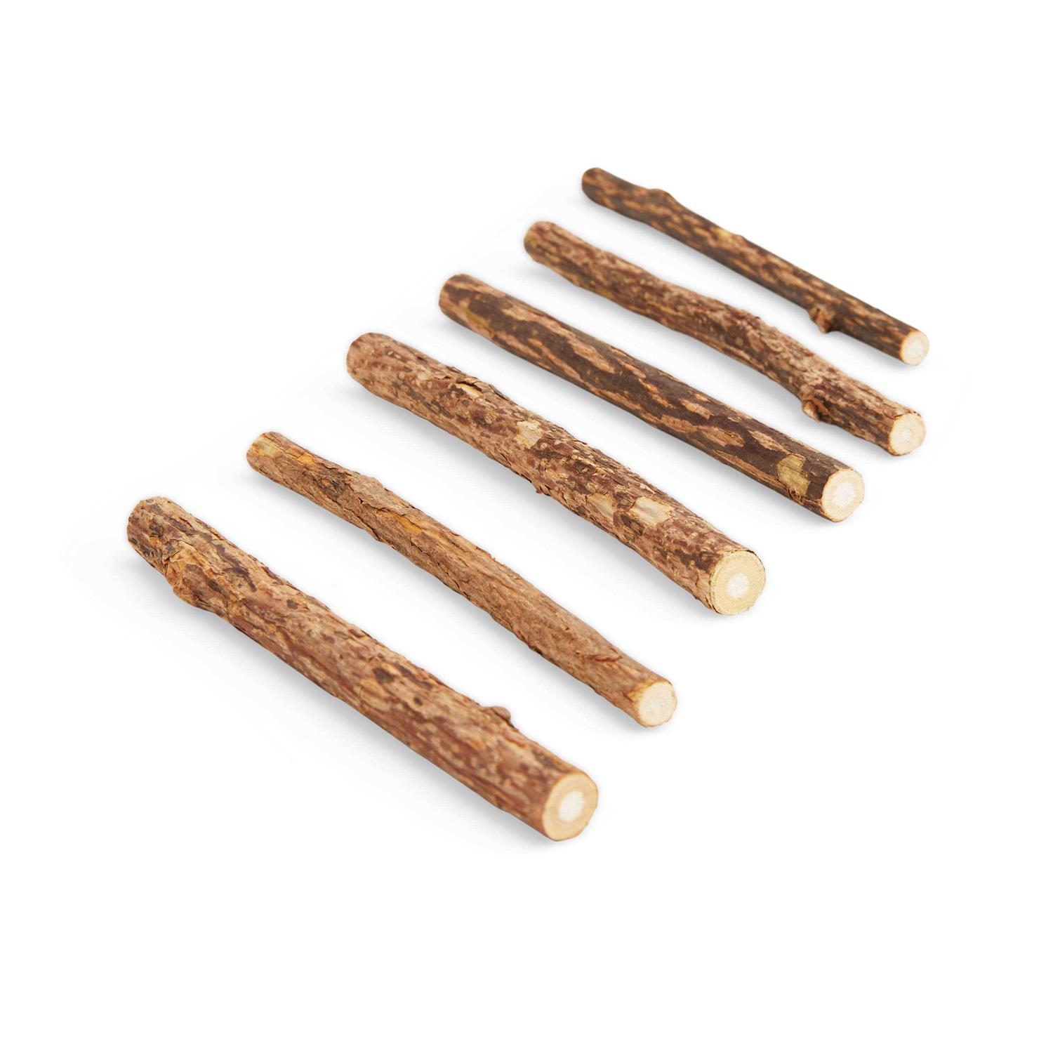 Leaps & Bounds Silvervine Sticks Cat Toy - Healthber