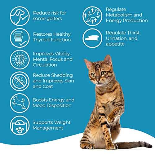 BestLife4Pets Cat Hyperthyroid + Weight Gain Support Feline Thyroid Supplement for Metabolic Support - Healthber
