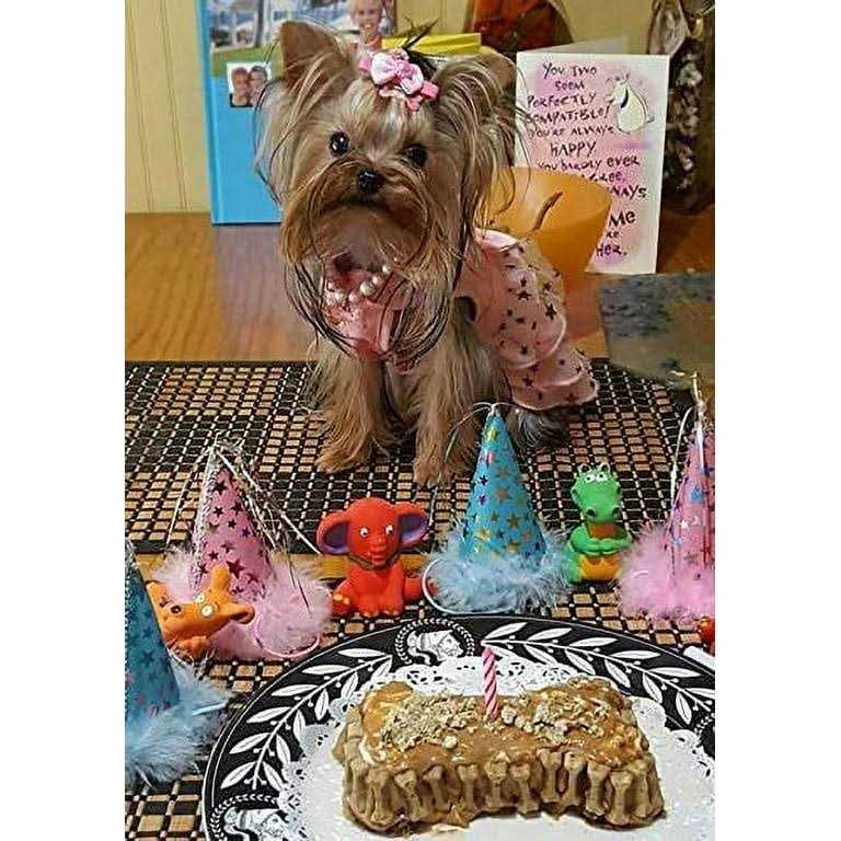 Petcakes Birthday Cake Kit For Dogs - Healthber