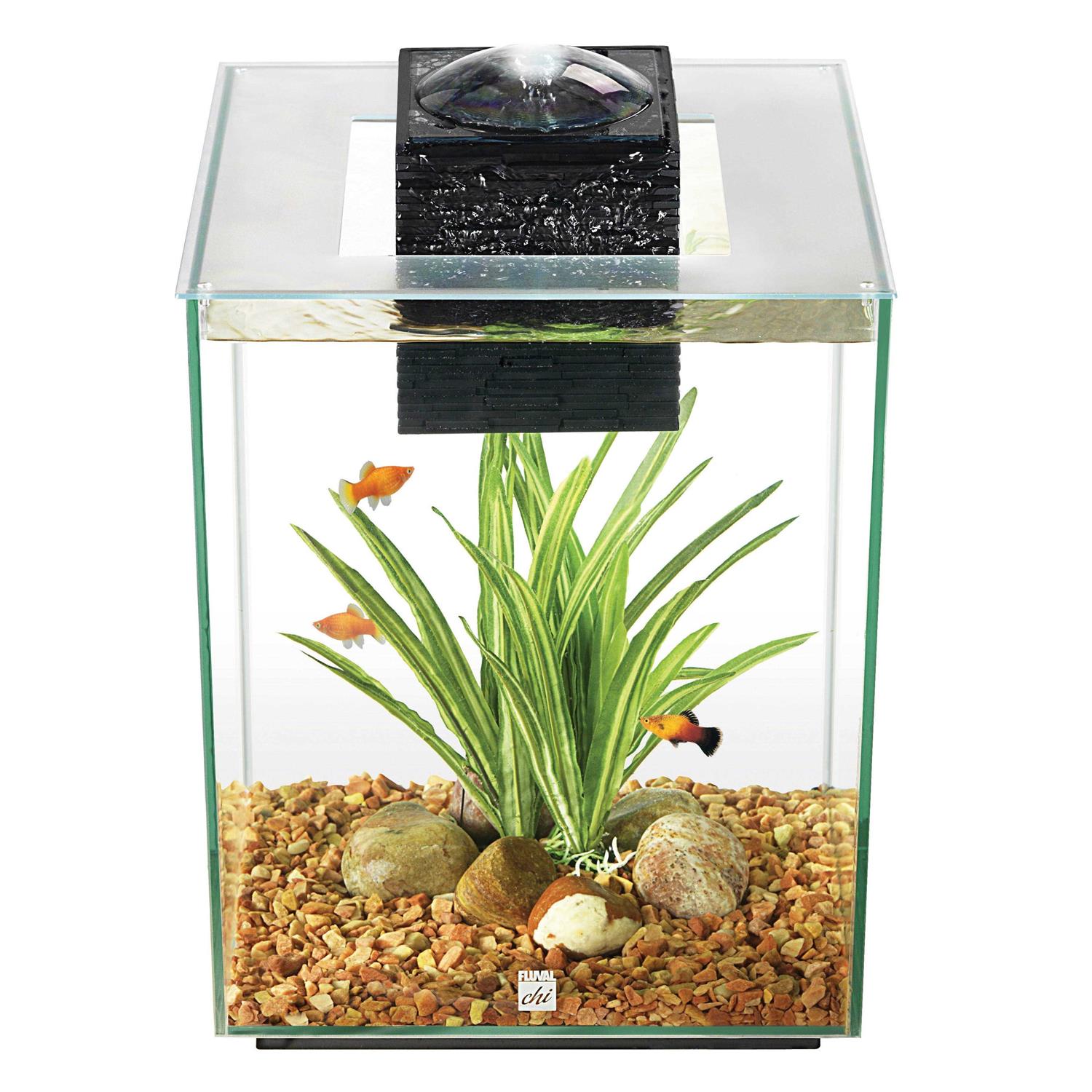 Fluval Chi II - Healthber