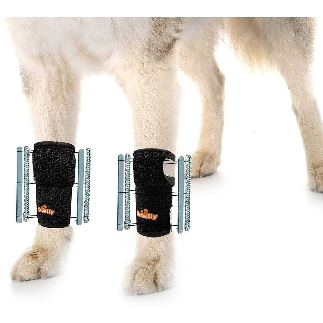 NeoAlly 3-in-1 Dog Splint Front Leg Support, Front Leg Brace with Rigid and Spring Inserts - Healthber