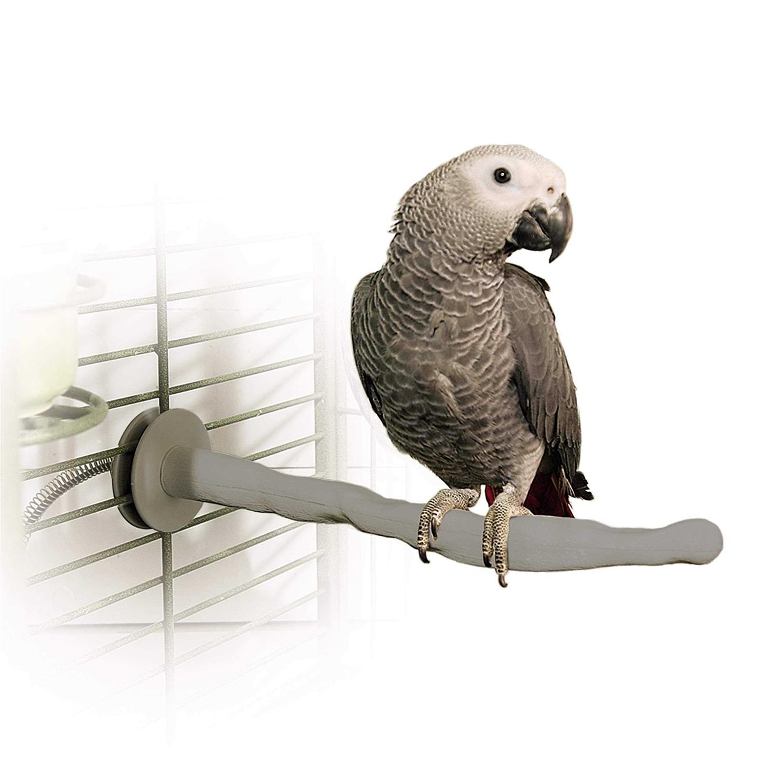 K&H Pet Products Bird Thermo-Perch - Healthber