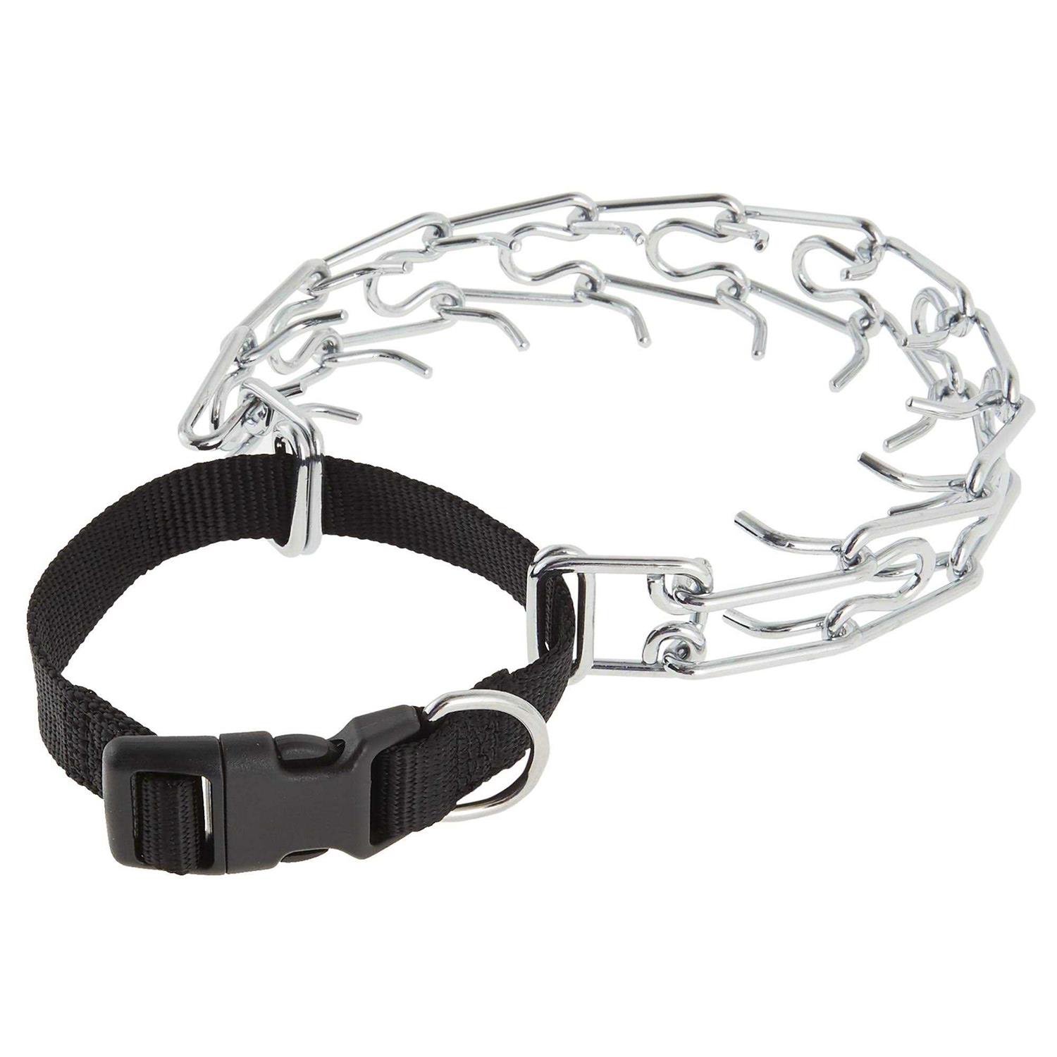 Top Paw Buckle Prong Training Dog Collar - Healthber