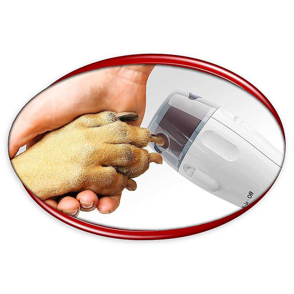 PawPerfect Replacement Rollers - Healthber