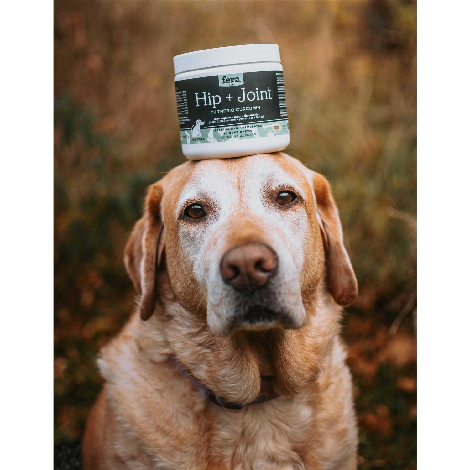 Fera Pet Organics Hip & Joint Soft Chew Dog Supplement - Healthber