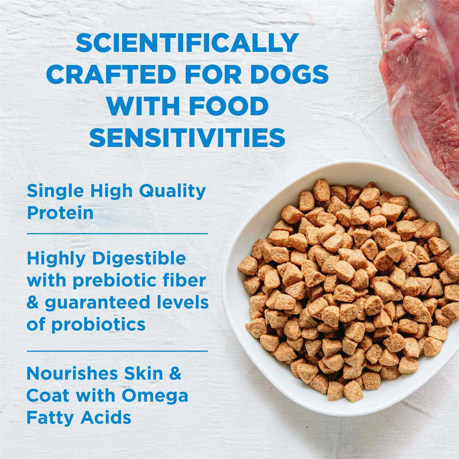 Wellness Simple Limited Ingredient Diet Grain Free Salmon & Potato Natural Dry Dog Food - Healthber