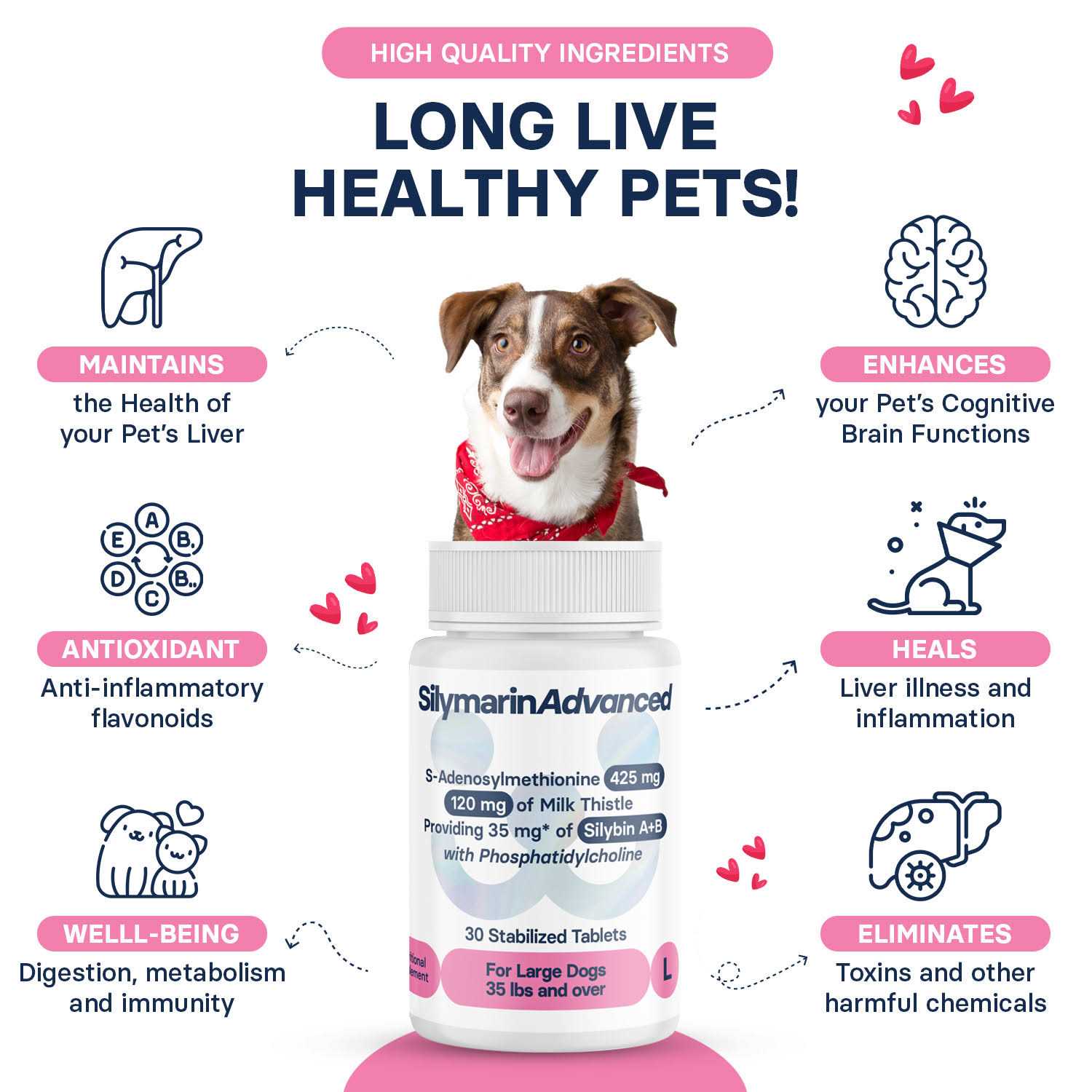 Silymarin Advanced Dogs and 30 tablets - Healthber