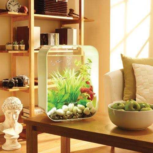 biOrb LIFE 15 Aquarium with Standard Light - Healthber