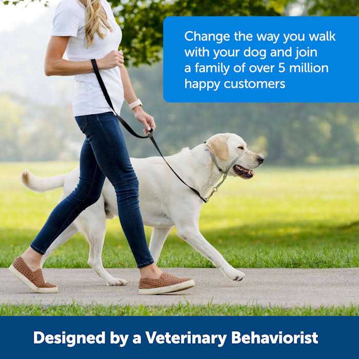 PetSafe Gentle Leader Headcollar - Healthber
