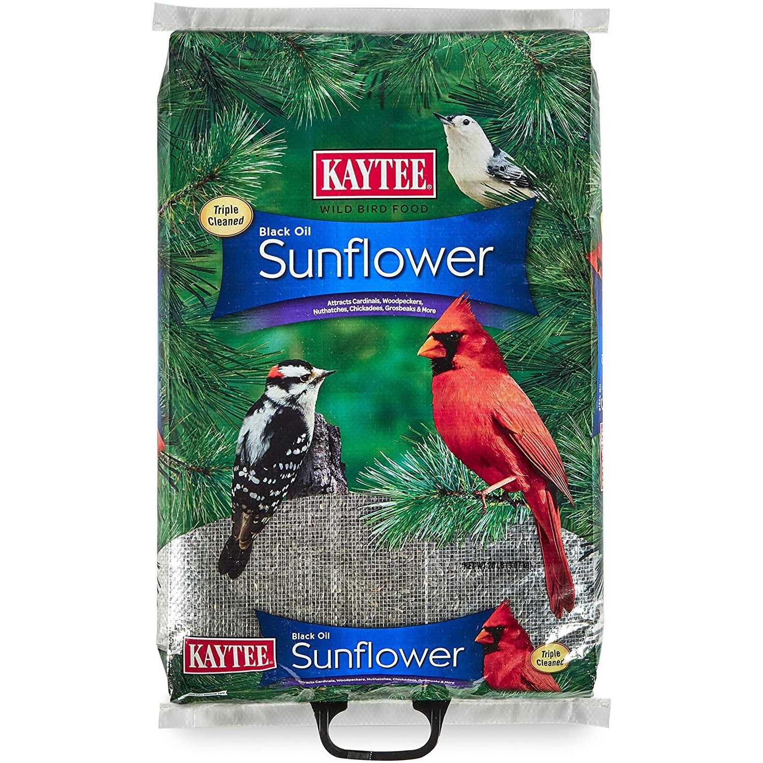 Kaytee Black Oil Sunflower Food - Healthber