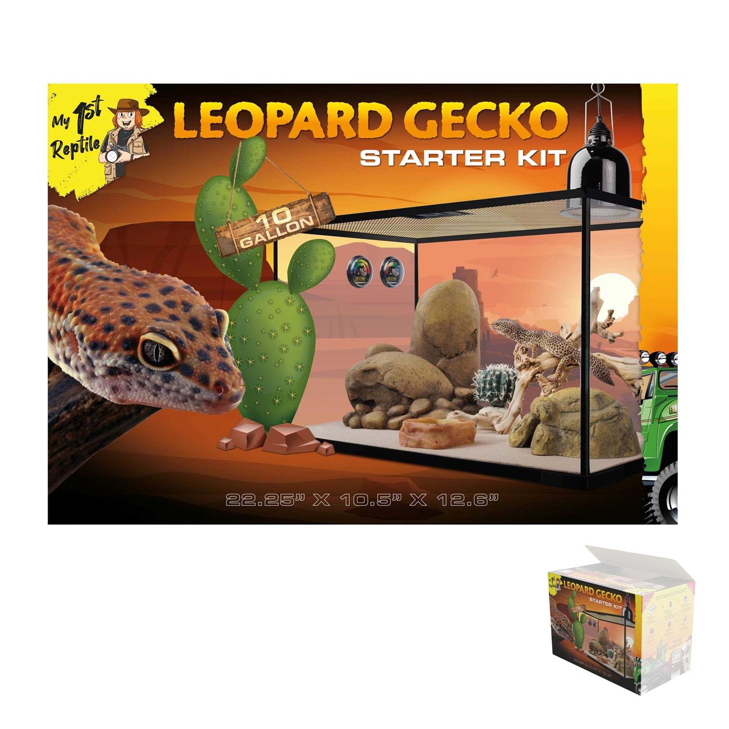 My 1st Reptile by Exo Terra Leopard Gecko Reptile Starter Kit - Healthber