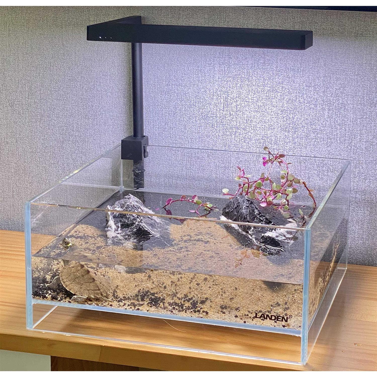 LANDEN Glass Air Aquarium Tank Multi-SceneLandscape Aquarium 1.6Gallon Rimless Low Iron Shallow Tank,W10.6×D10.6×H4.7 in 5mm Thickness - Healthber