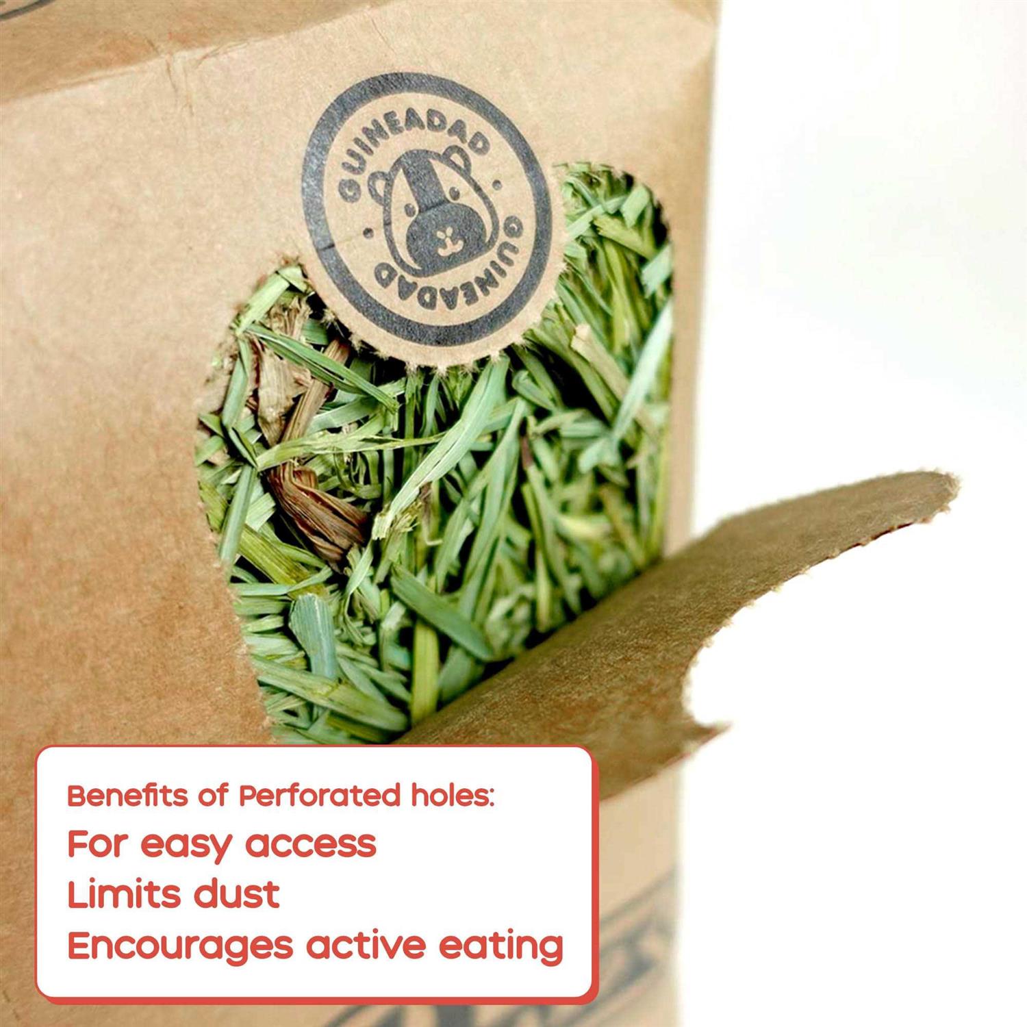 Guineadad Timothy Hay for Guinea Pigs Rabbits - Healthber