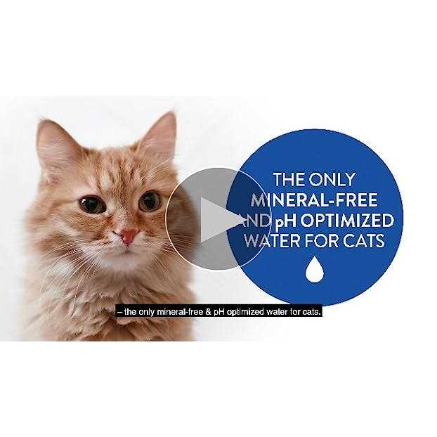 Catwater by Vetwater ph-Balanced and Mineral-Free Cat Water Clinically Proven Urinary Formula - Healthber