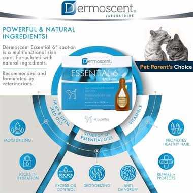Dermoscent Essential 6 Spot-on Cats - Healthber