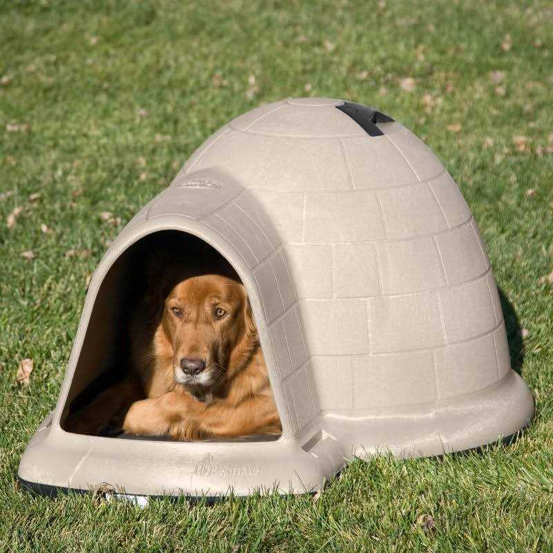Petmate Indigo - Healthber