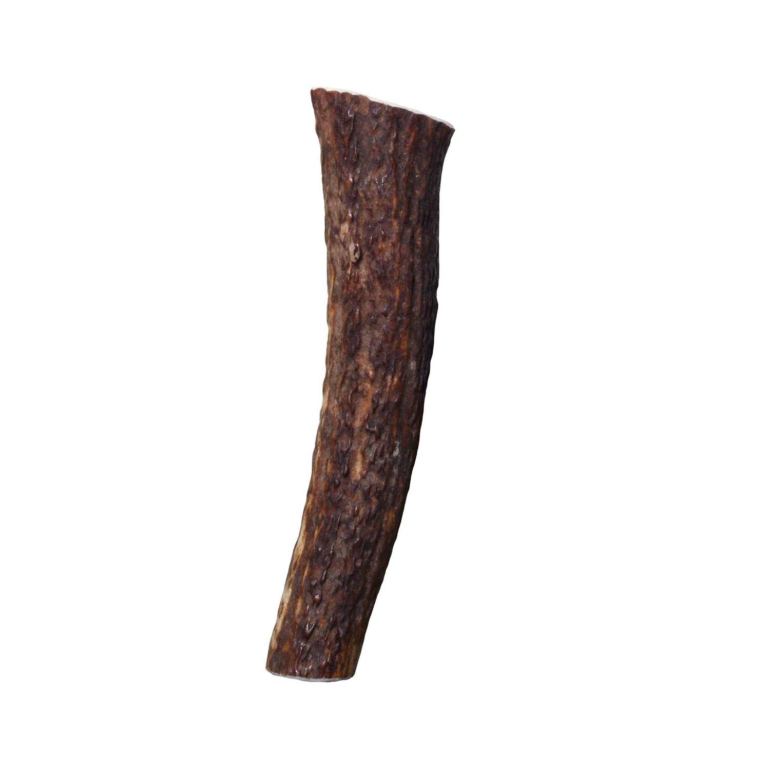Kong Whole Wild Elk Antler - Healthber