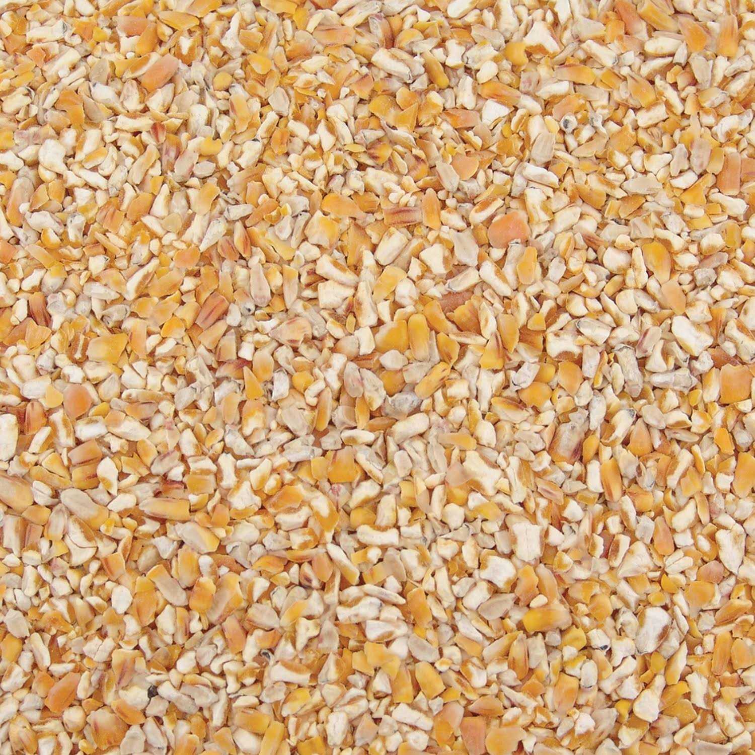 Ace Songbird Corn Cracked Corn - Healthber