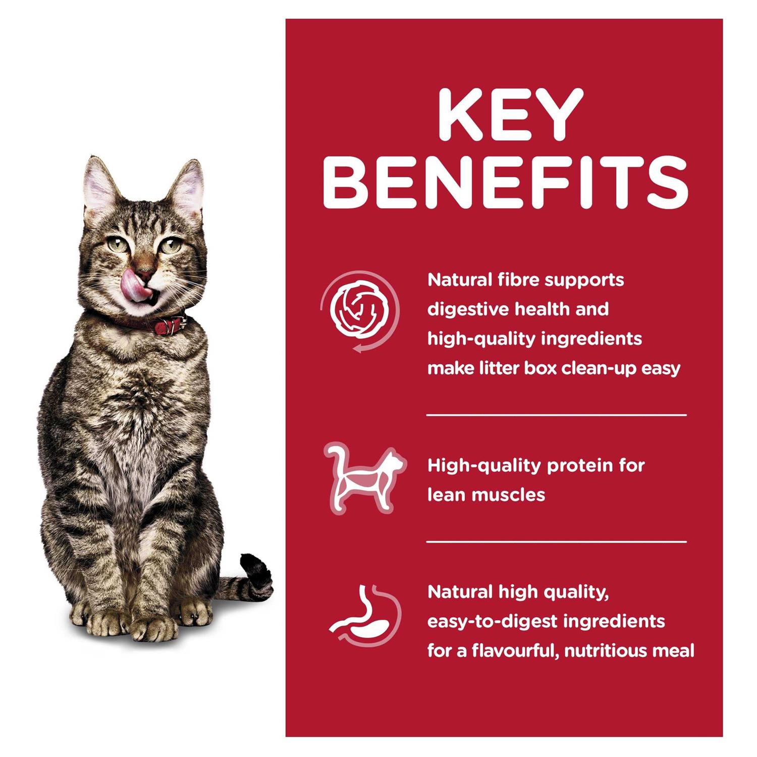 Hill’s Science Diet Adult 7+ Indoor Dry Cat Food - Healthber