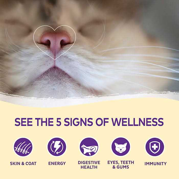Wellness Kittles Cat Treats - Healthber