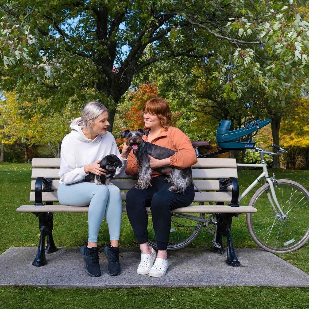 Buddyrider Dog Bicycle Seat Safety Dog Bike Seat For Dogs Up To 25 lbs - Healthber