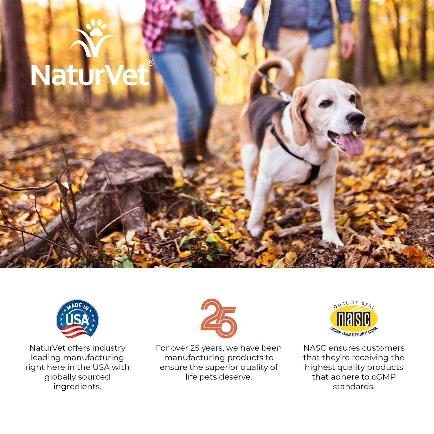 NaturVet Senior Advanced Joint Health Soft Chews - Healthber