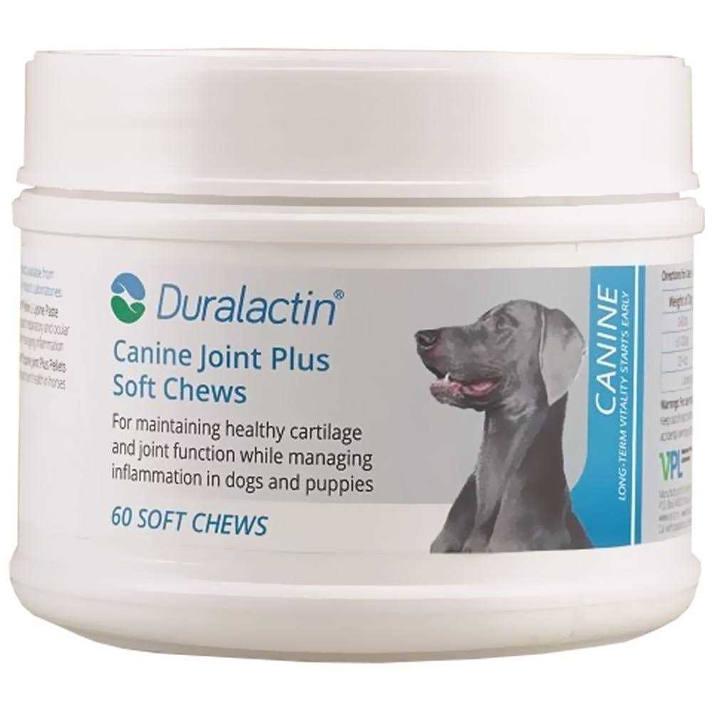 Duralactin Canine Joint Plus Soft Chews - Healthber
