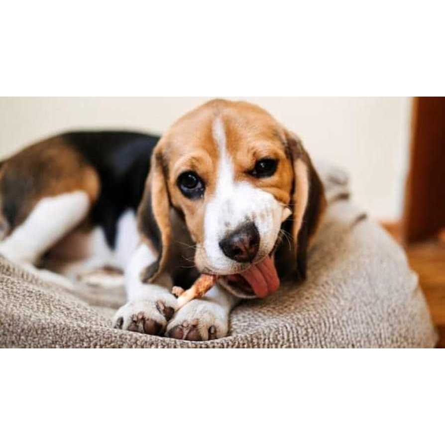 Dentley’s Gourmet Rawhide Stuffed Rolls Dog Treats - Healthber