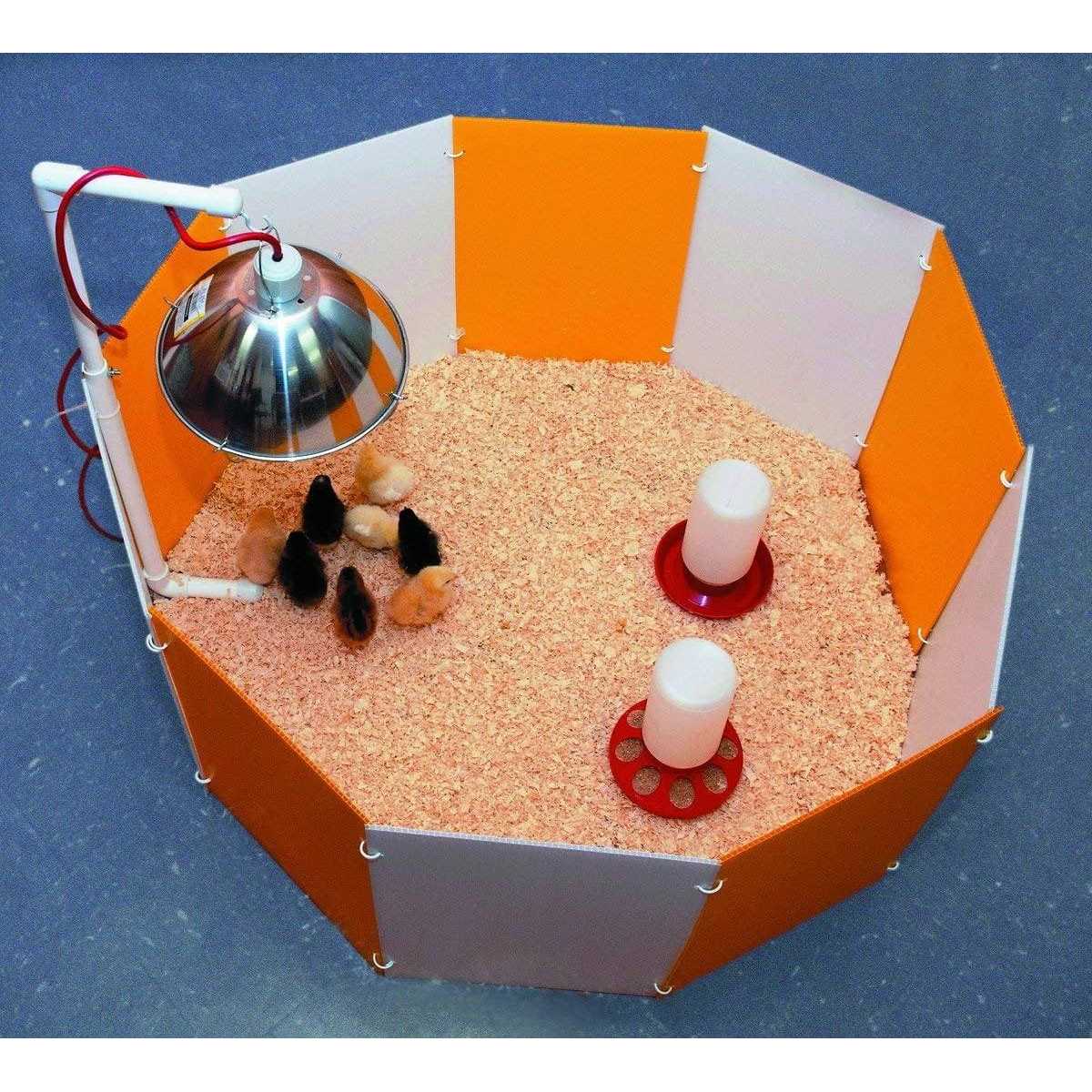 Farm Innovators Baby Chick Starter Home - Healthber