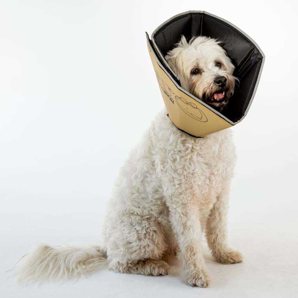 Comfy Cone Collar - Healthber
