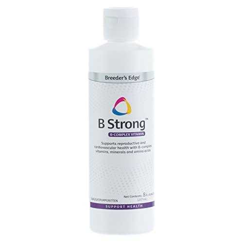 Edge B Strong - Healthber