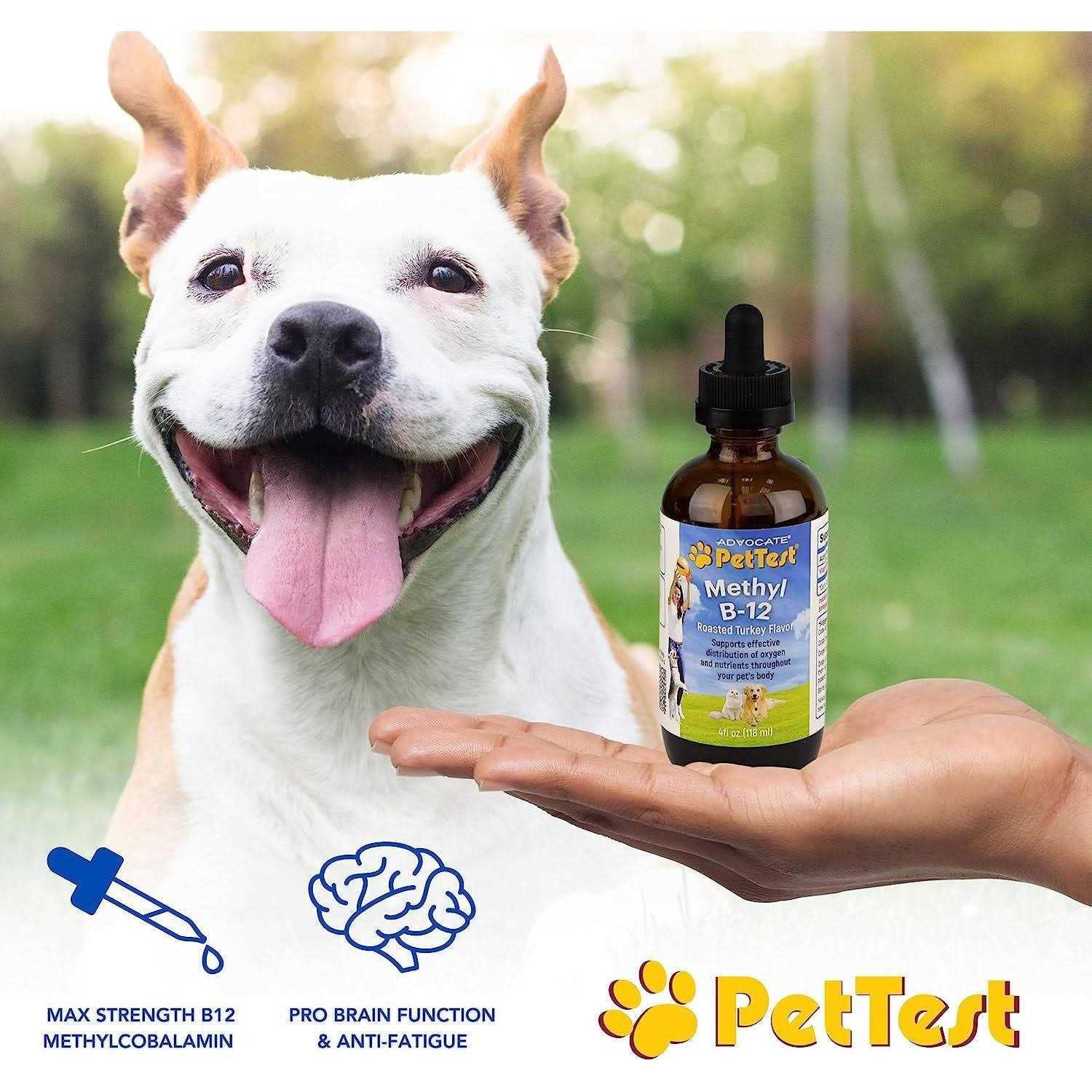 Pettest Methyl B-12 for Diabetic Dogs Cats 4 fl oz - Healthber