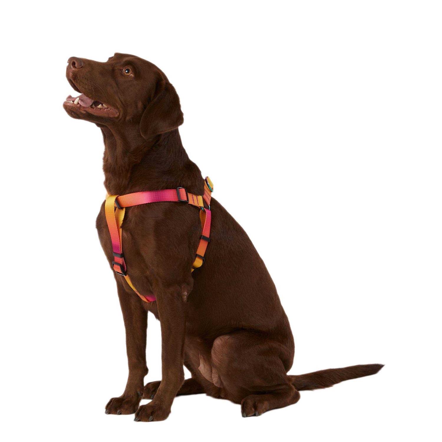 Top Paw Dog Top Pawyellow & Pink Ombre Dog Harness - Healthber